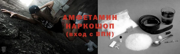 мет Алексин