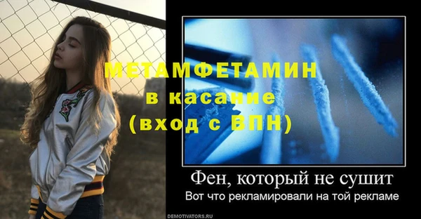 индика Няндома