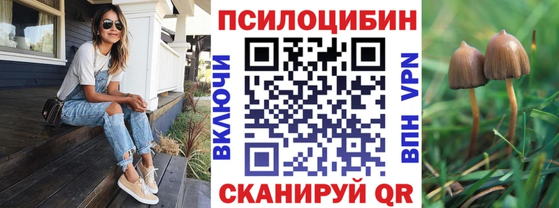 Галлюциногенные грибы MAGIC MUSHROOMS  Сольвычегодск 